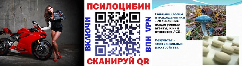 Псилоцибиновые грибы Psilocybe  Видное 