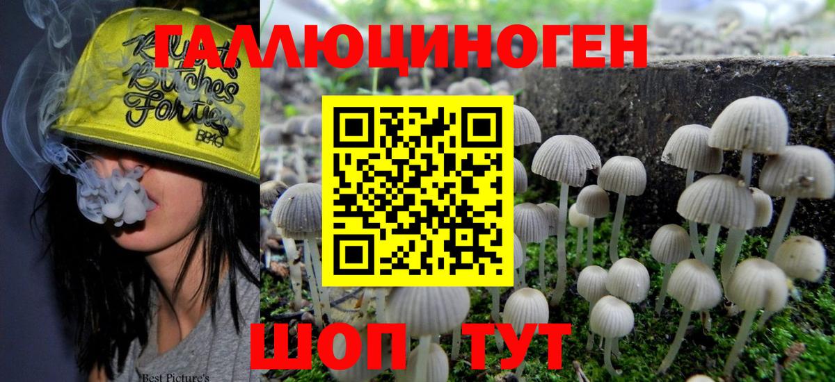 Псилоцибиновые грибы ЛСД  Галлюциногенные грибы Magic Shrooms  Видное 