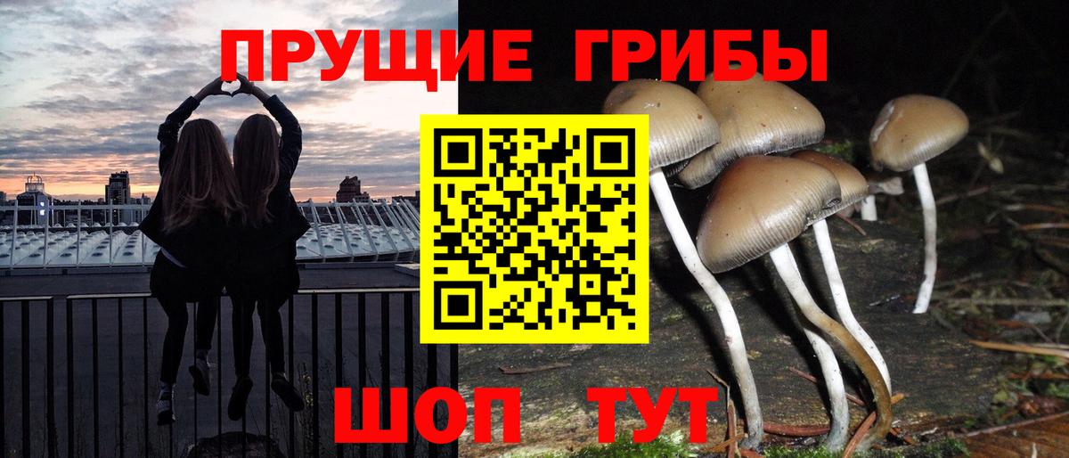 Псилоцибиновые грибы Cubensis  Вход с VPN  Галлюциногенные грибы ЛСД  Видное 