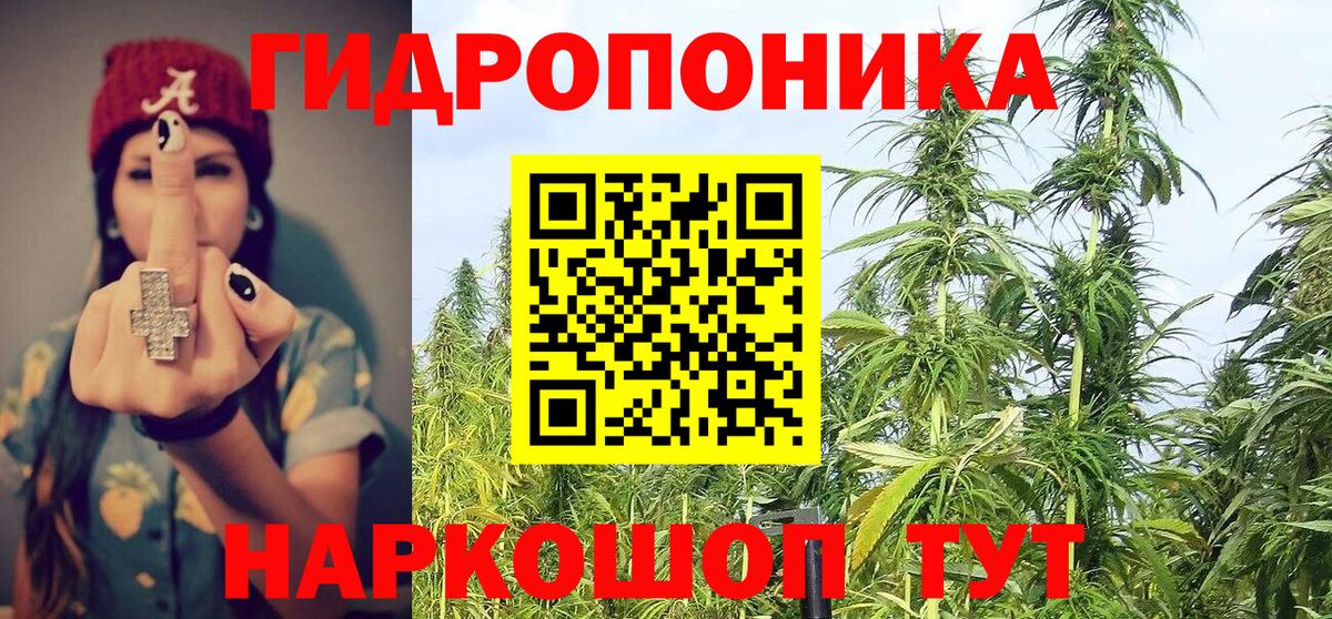 Бошки Шишки гибрид  Вход с VPN  Марихуана гибрид  Каннабис Bruce Banner  Конопля индика  Видное 